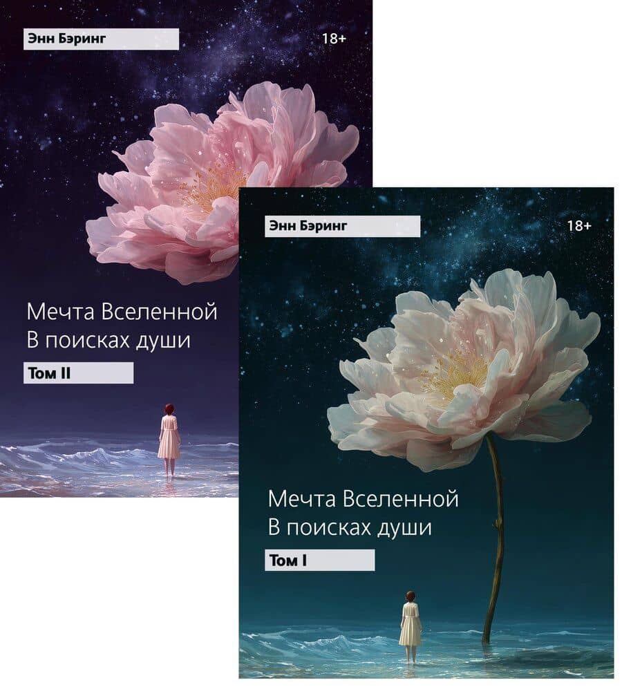 Мечта Вселенной: в поисках души (комплект из 2-х книг)