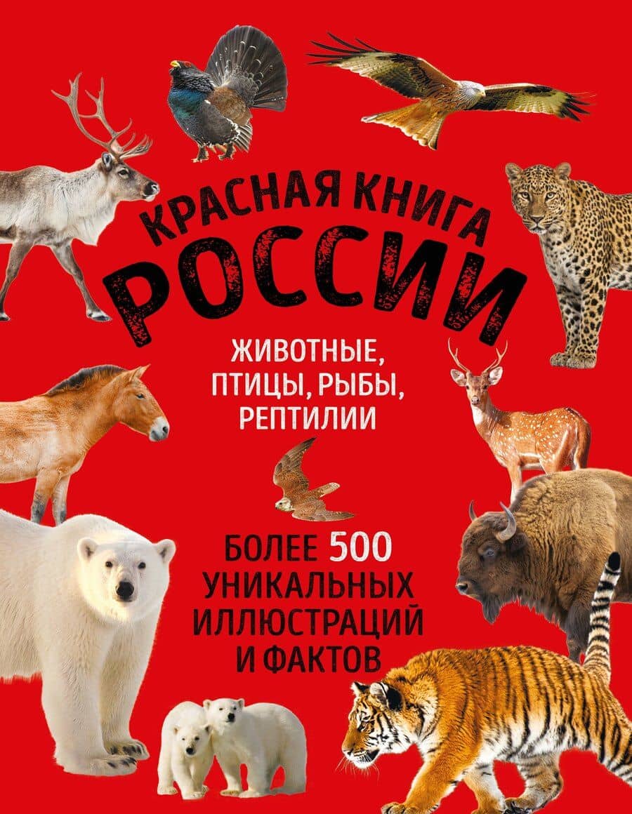 Красная книга России. Животные, птицы, рыбы, рептилии. Более 500 уникальных иллюстраций и фактов (новое издание) (основной)