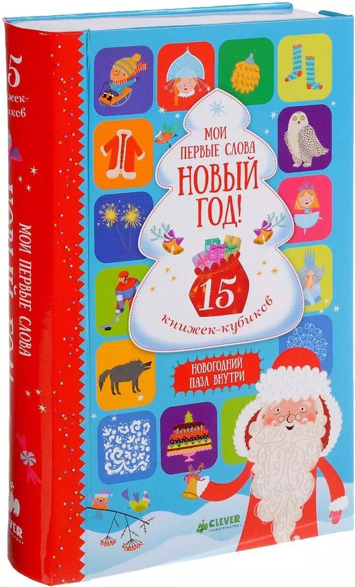 Мои первые слова. Новый год! 15 книжек-кубиков