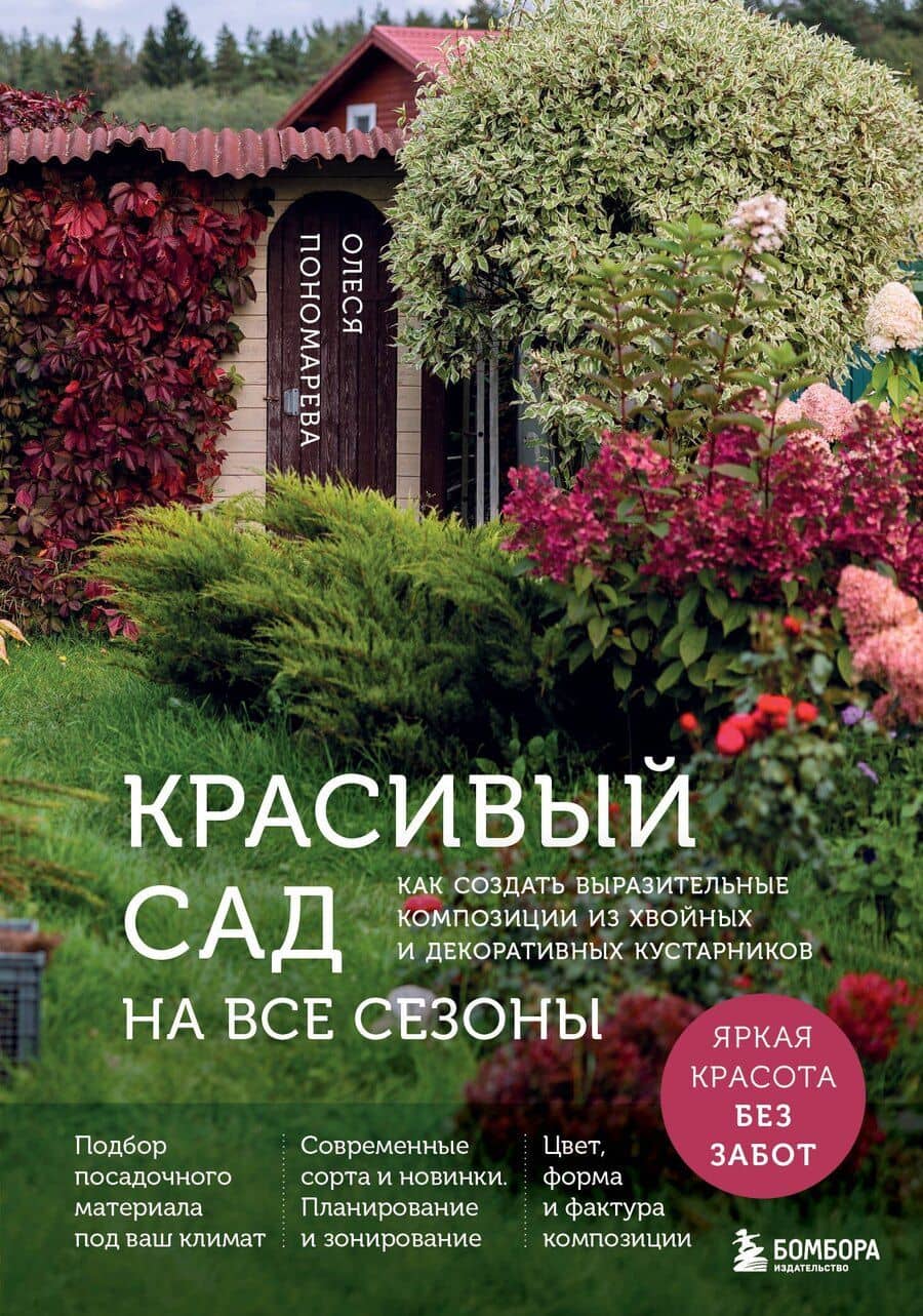 Красивый сад на все сезоны. Как создать выразительные композиции из хвойных и декоративных кустарников