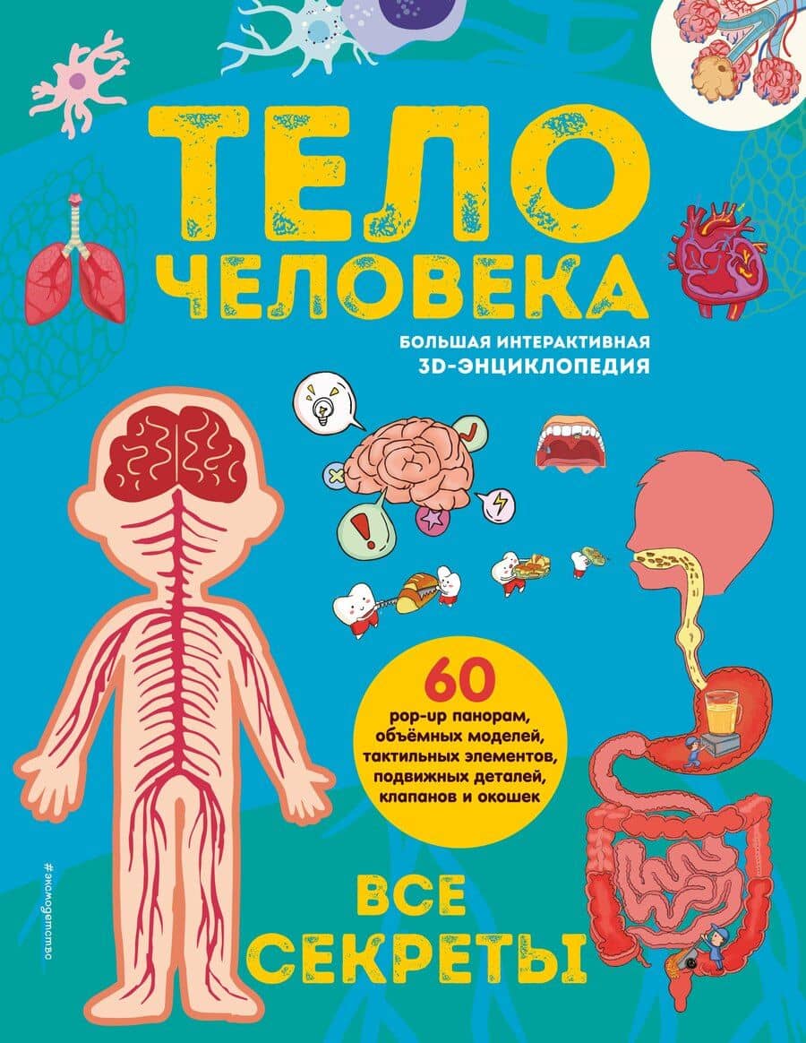 Тело человека. Все секреты. Большая интерактивная 3D-энциклопедия