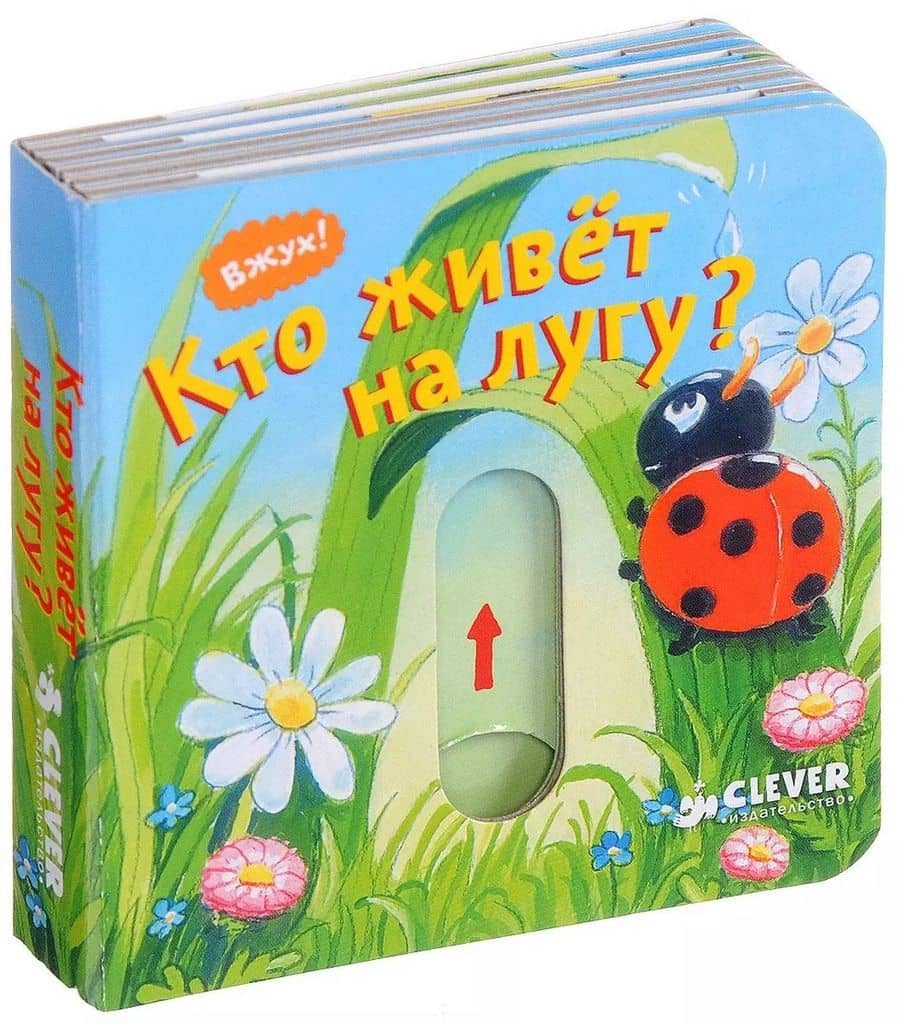 Кто живёт на лугу?