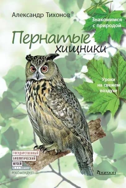 Пернатые хищники. Уроки на свежем воздухе