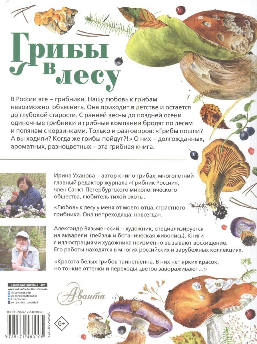 Грибы в лесу