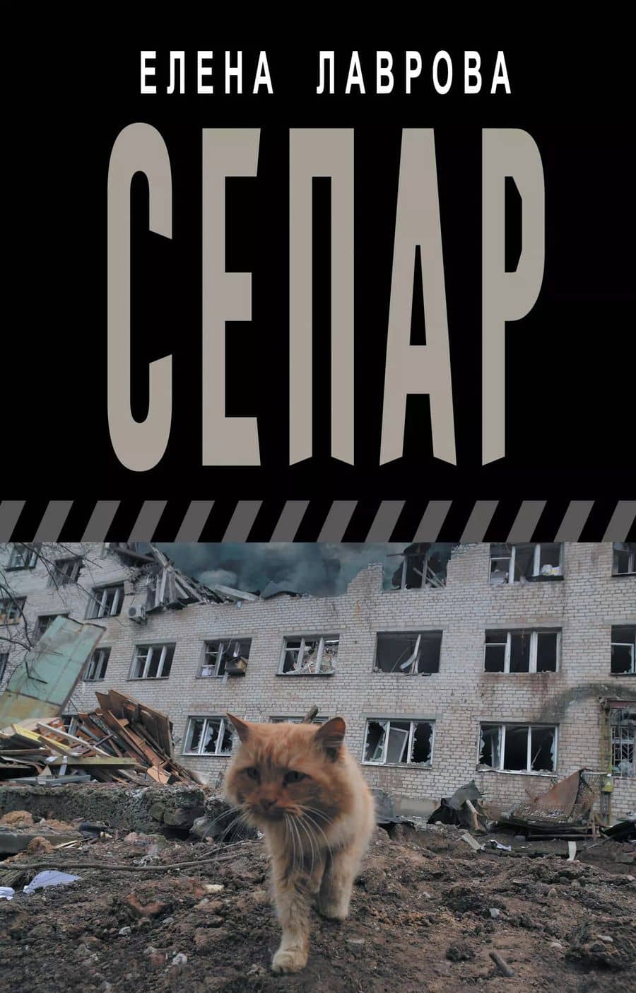 Book cover
