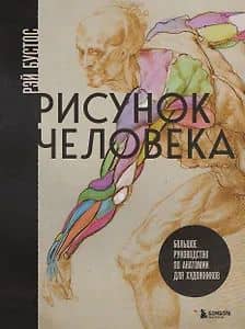 Рисунок человека. Большое руководство по анатомии для художников