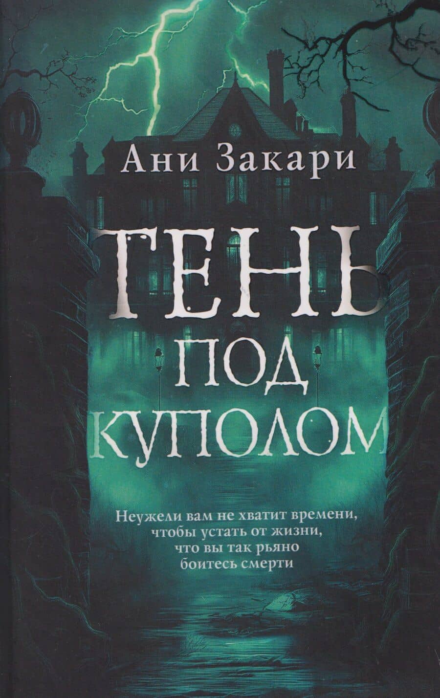 Тень под куполом