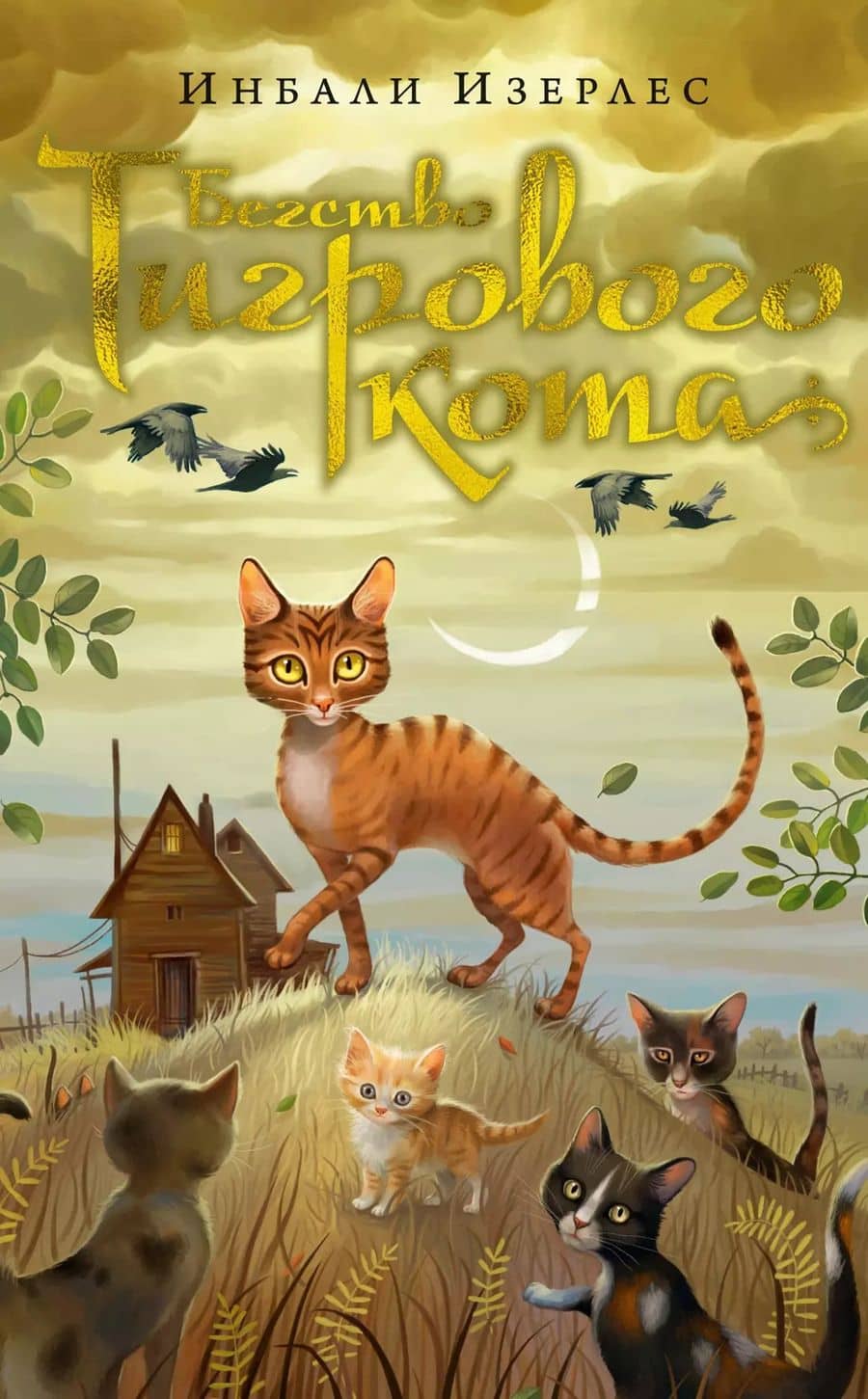 Book cover