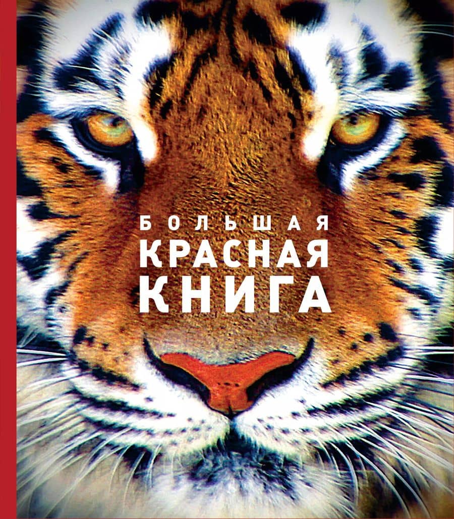 Большая красная книга (стерео-варио)