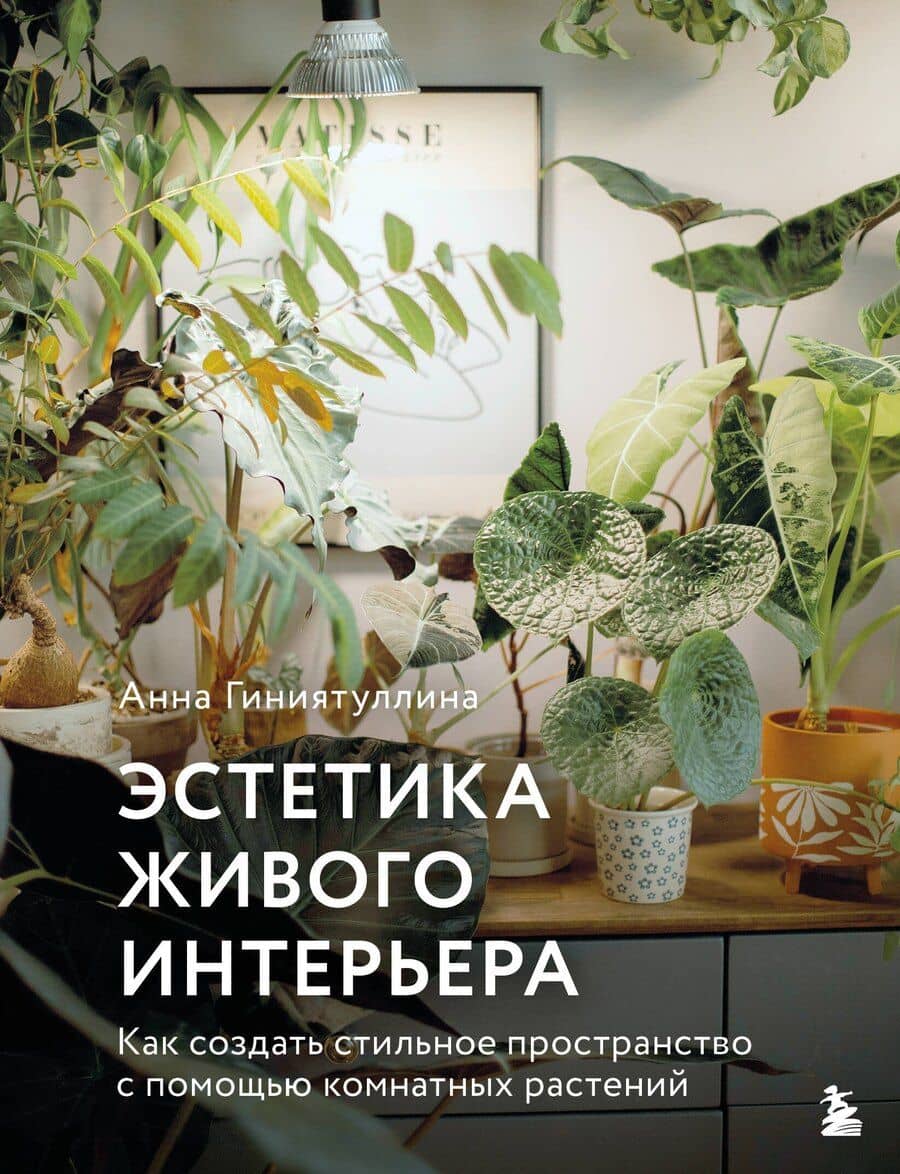 Эстетика живого интерьера. Как создать стильное пространство с помощью комнатных растений