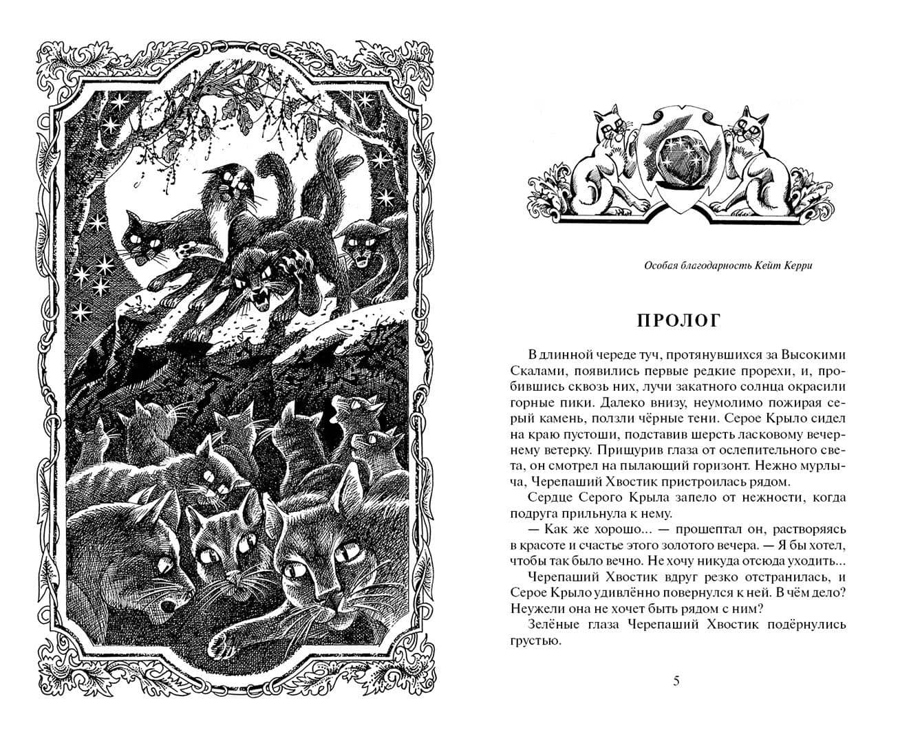 Звёздная тропа — Эрин Хантер (2)