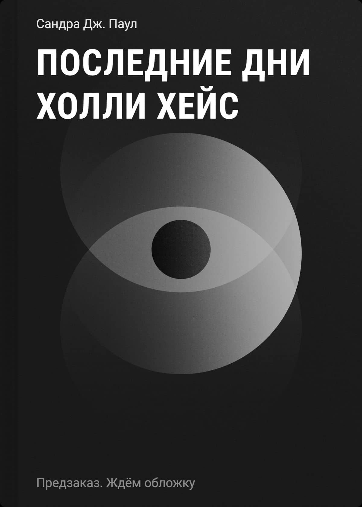 Последние дни Холли Хейс — Сандра Дж. Паул