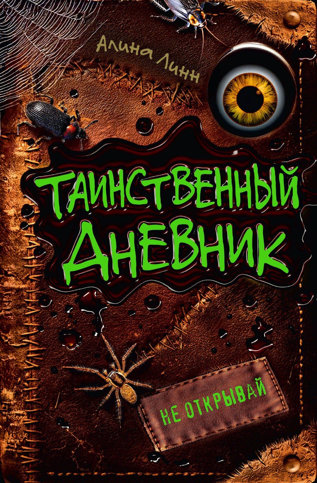 Таинственный дневник — Линн Алина
