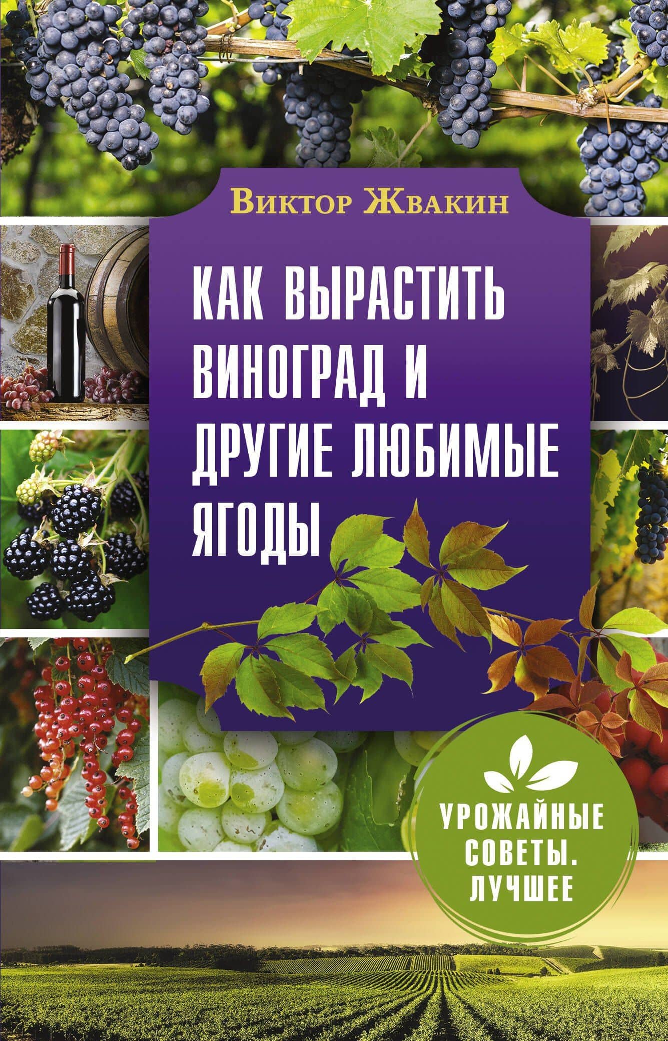 Как вырастить виноград и другие любимые ягоды. Простые и понятные инструкции для начинающих — Виктор Владимирович Жвакин