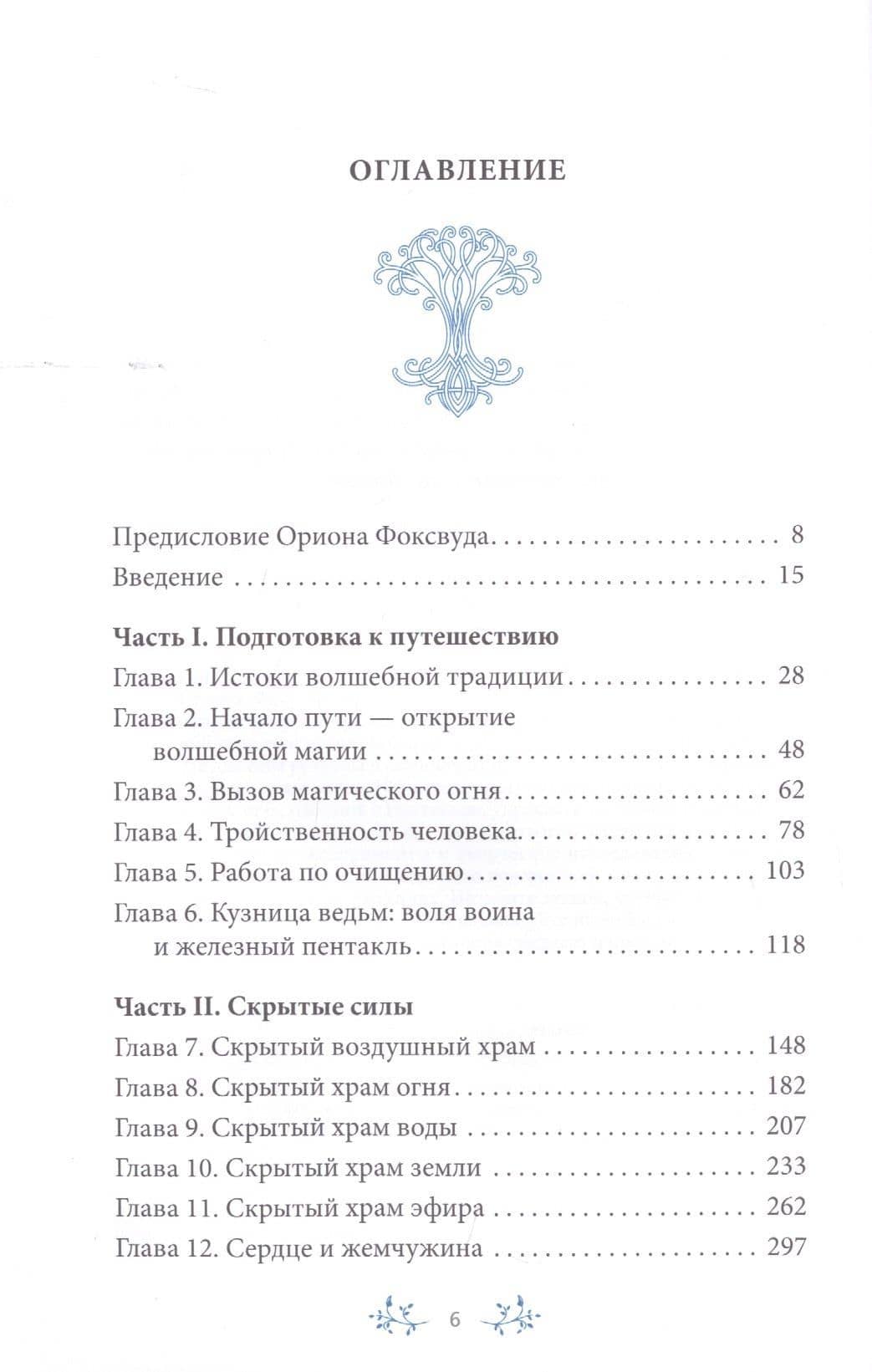 На границе миров. Изучение волшебной традиции ведовства — Сторм Фейривульф (2)