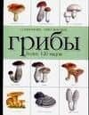 Справочник-определитель.Грибы.Более 120 видов