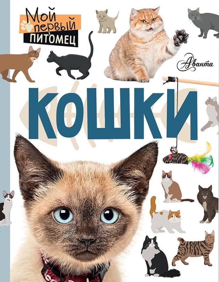 Кошки — Мария Александровна Лагоша
