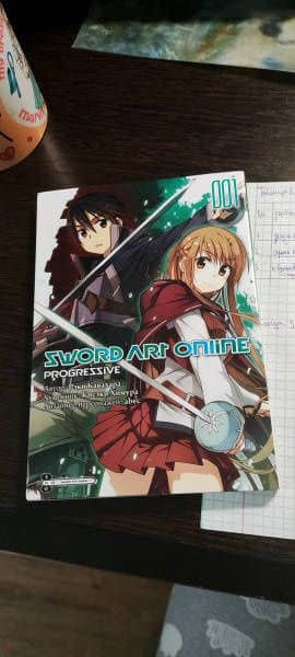 Sword Art Online. Progressive. Том 1 — Рэки Кавахара (3)