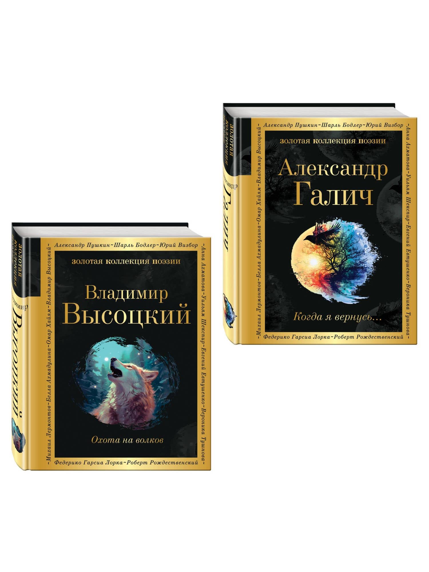 Комплект Голоса поколения (из 2-х книг Высоцкий и Галич) — Владимир Семенович Высоцкий (3)