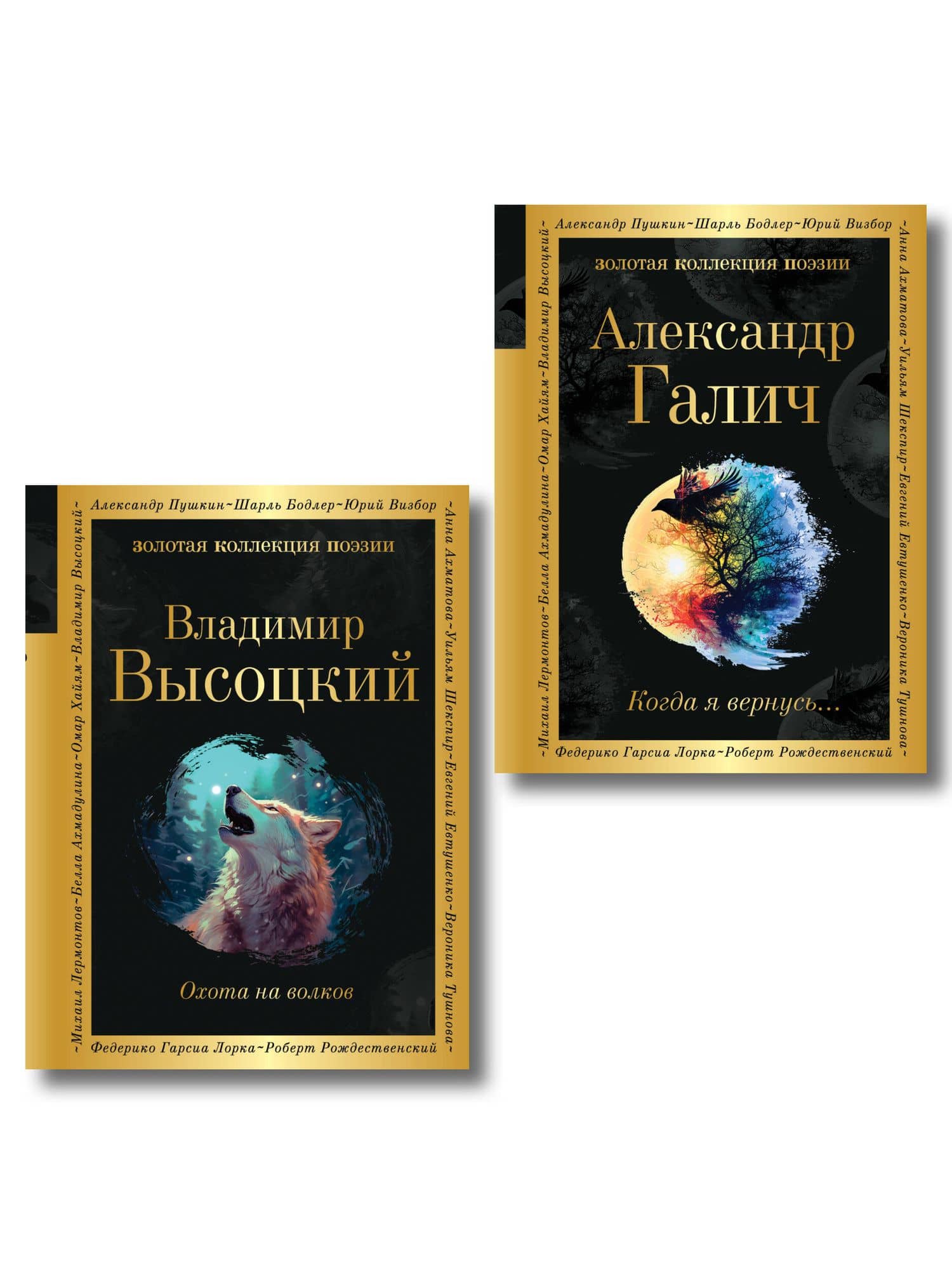 Комплект Голоса поколения (из 2-х книг Высоцкий и Галич) — Владимир Семенович Высоцкий