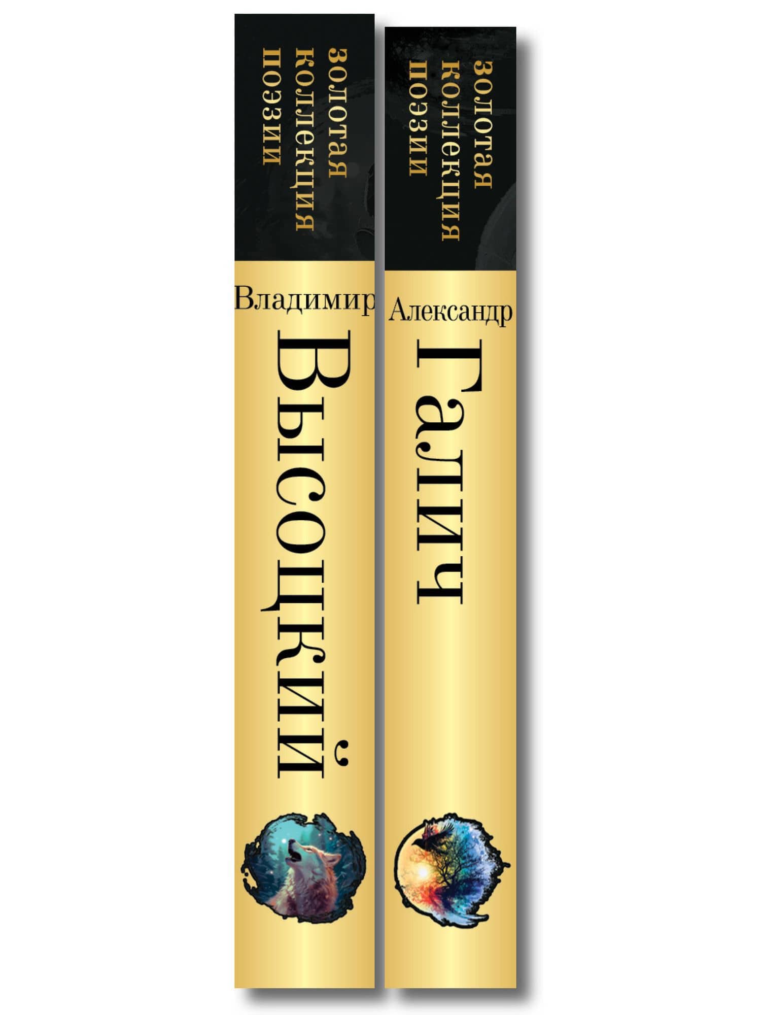 Комплект Голоса поколения (из 2-х книг Высоцкий и Галич) — Владимир Семенович Высоцкий (2)