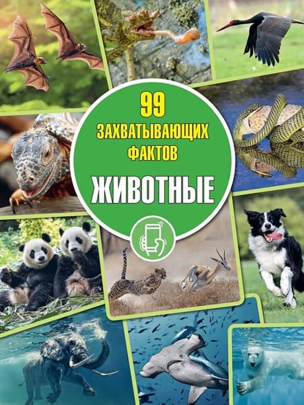 Животные