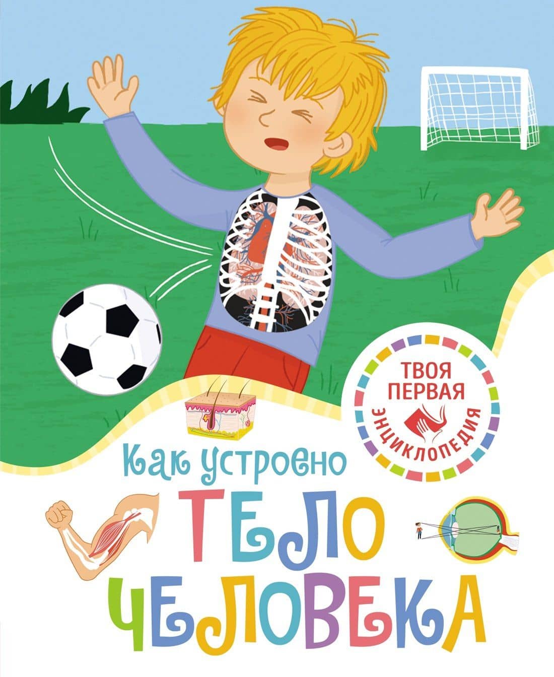 Как устроено тело человека — Филипп Симон