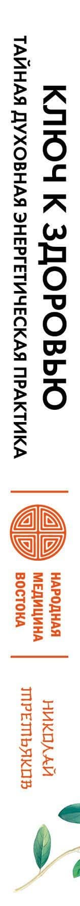 Ключ к здоровью. Тайная духовная энергетическая практика — Николай Юрьевич Третьяков (3)