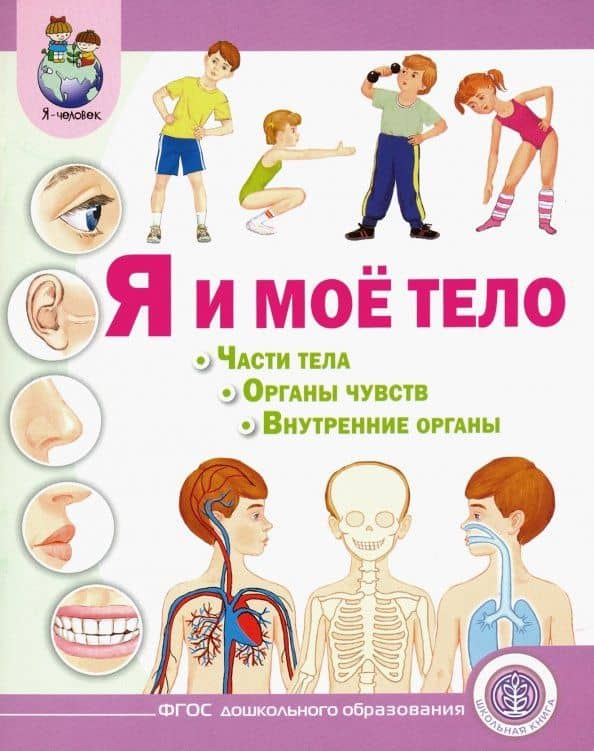 Я и моё тело. Части тела. Органы чувств. Внутренние органы — Ирина Викторовна Дурова