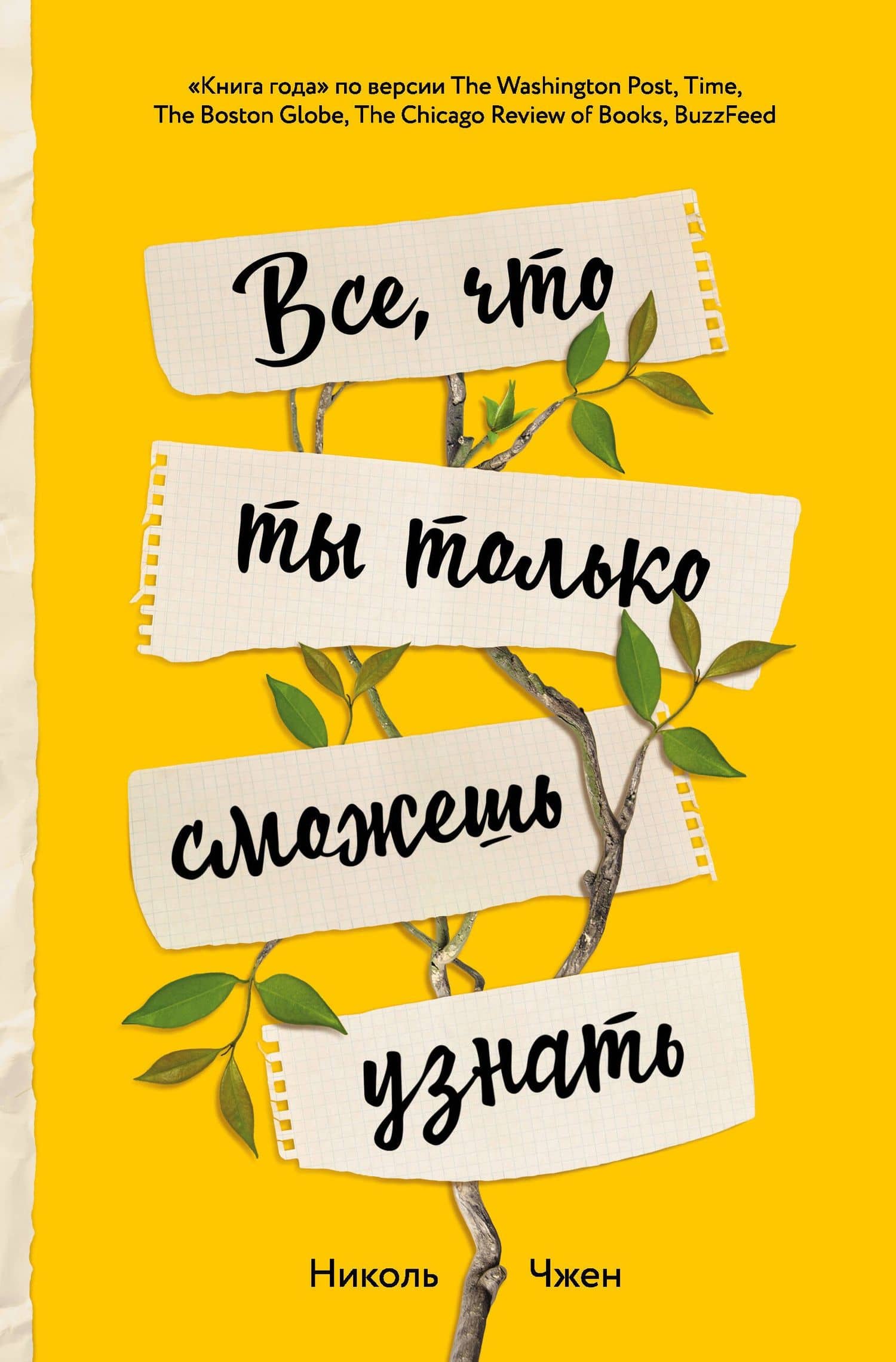 Все, что ты только сможешь узнать — Николь Чжен