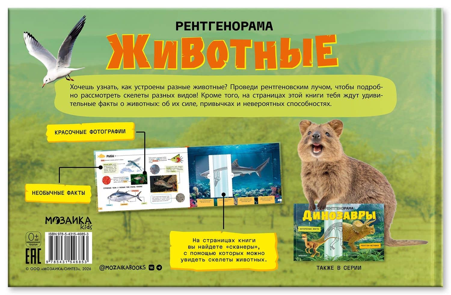 Животные. Рентгенорама (2)