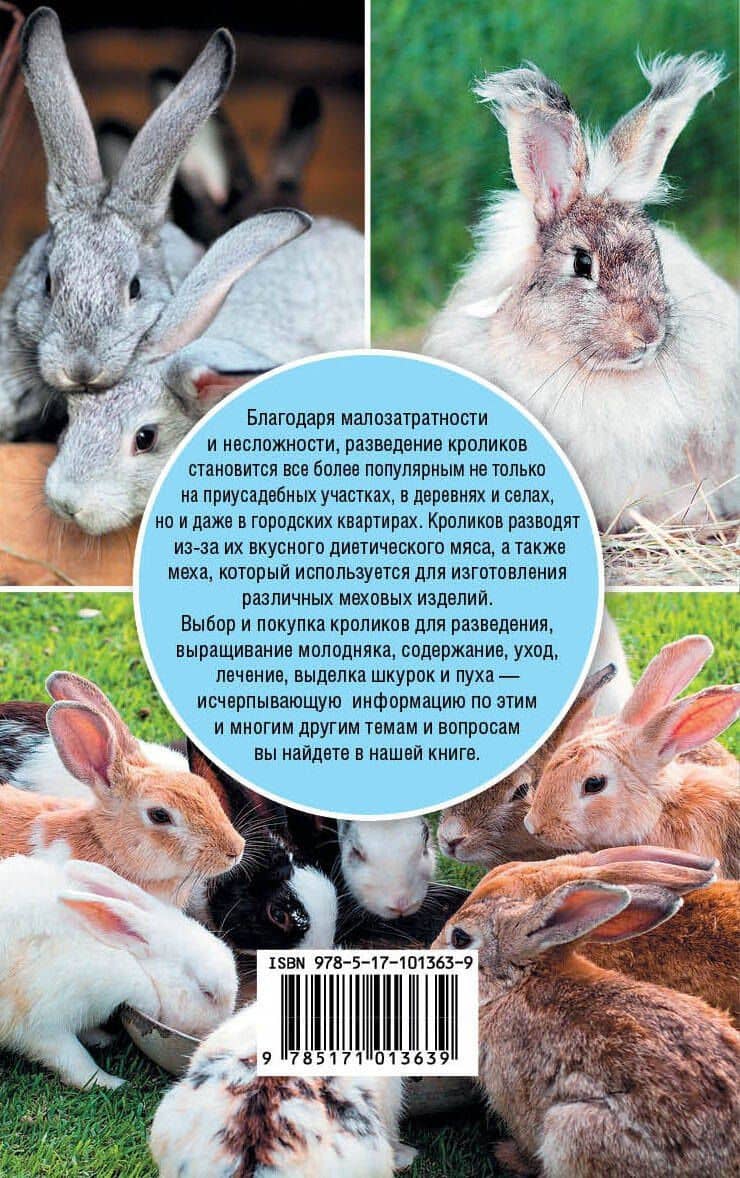 Выращивание кроликов — Андрей Олегович Лапин (2)