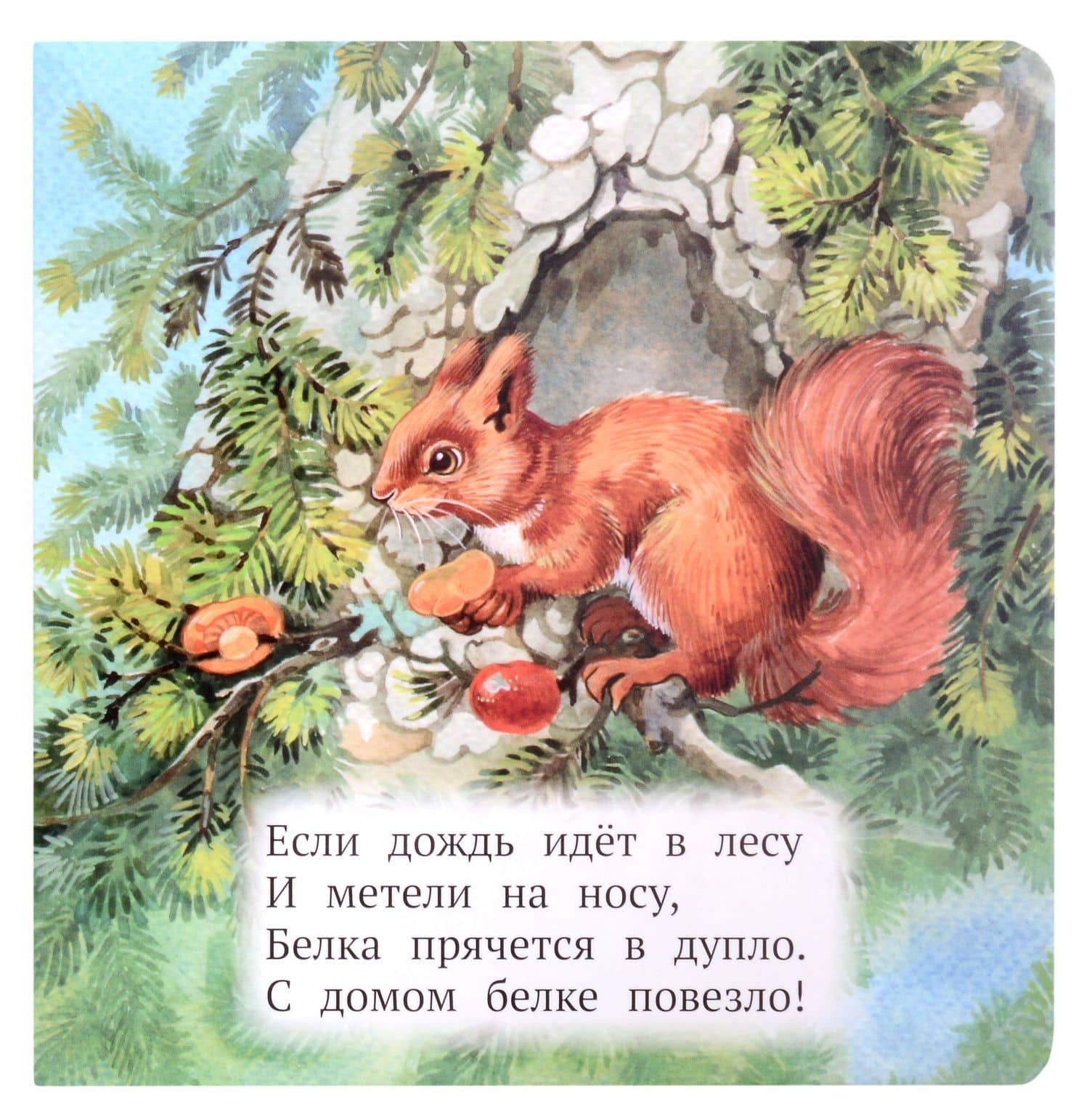 Кто где живёт? — Анна Попова (2)