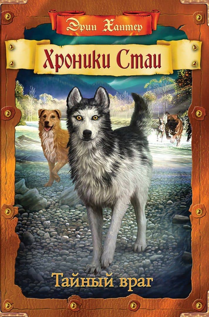 Тайный враг — Хантер Эрин
