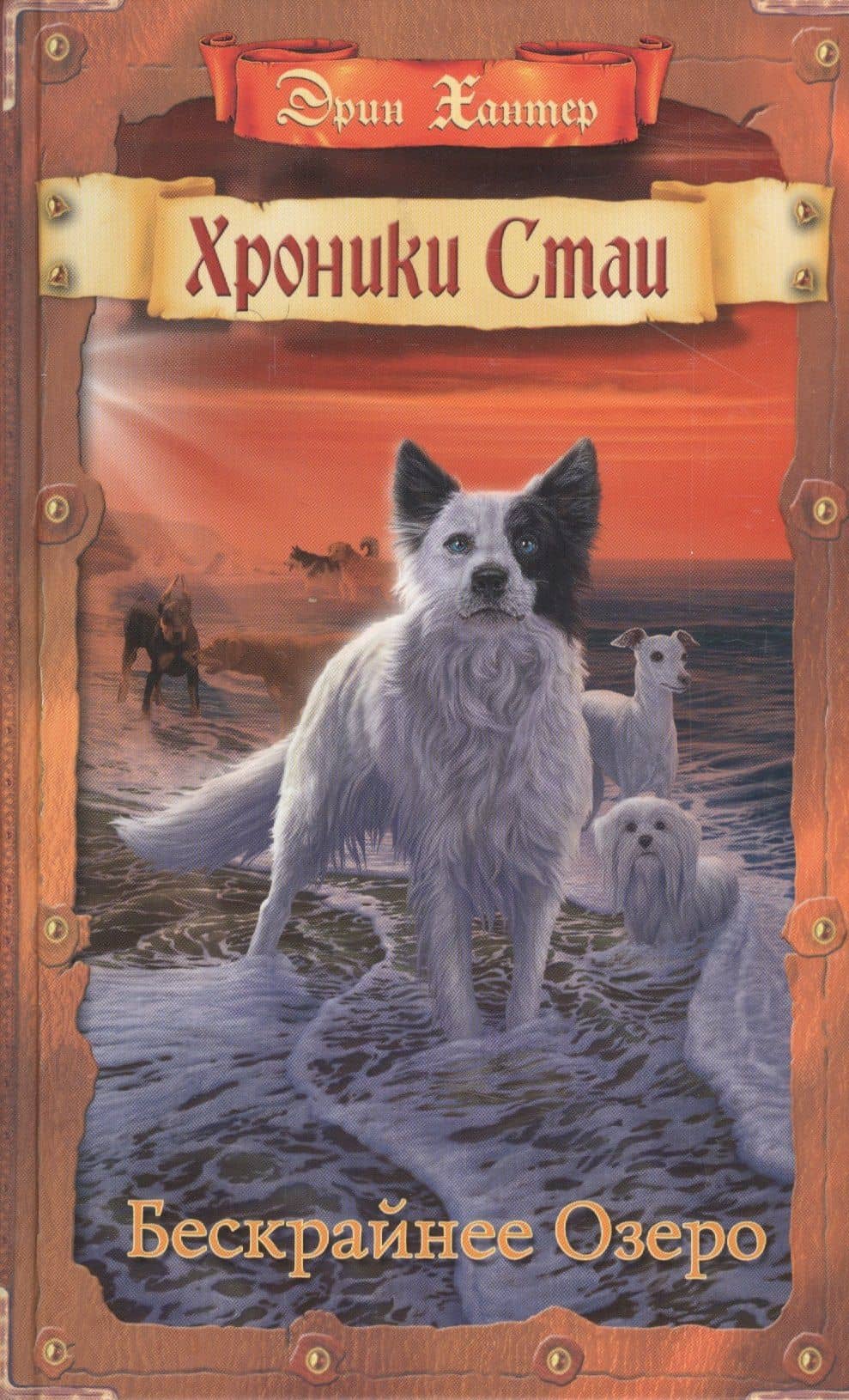 Бескрайнее Озеро — Эрин Хантер