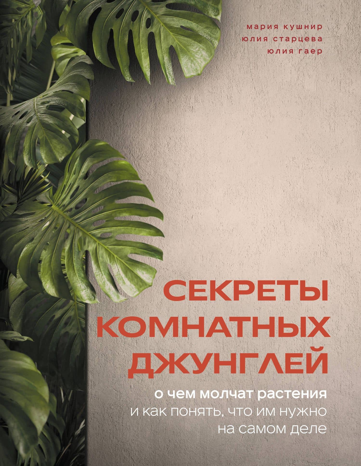 Секреты комнатных джунглей. О чем молчат растения и как понять, что им нужно на самом деле