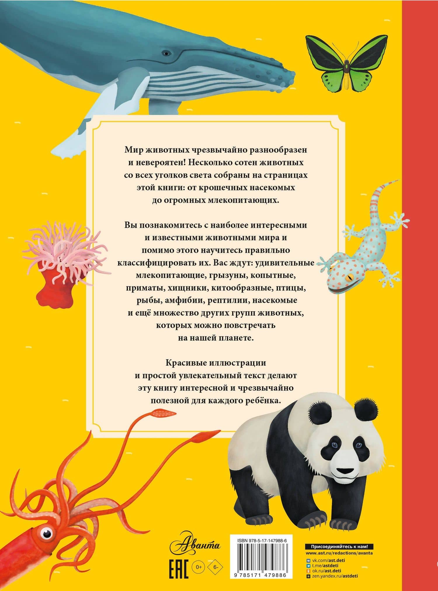 Животные — Томаш Тума (2)