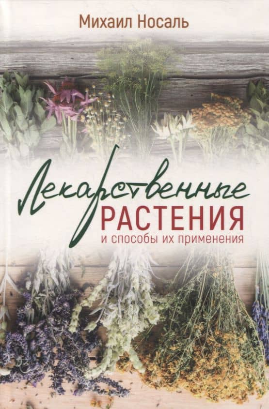Лекарственные растения и способы их применения в народе