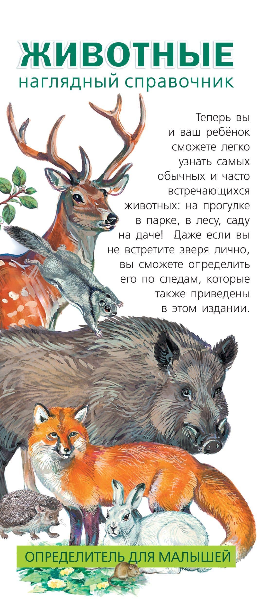 Животные. Наглядный справочник. Определитель для малышей