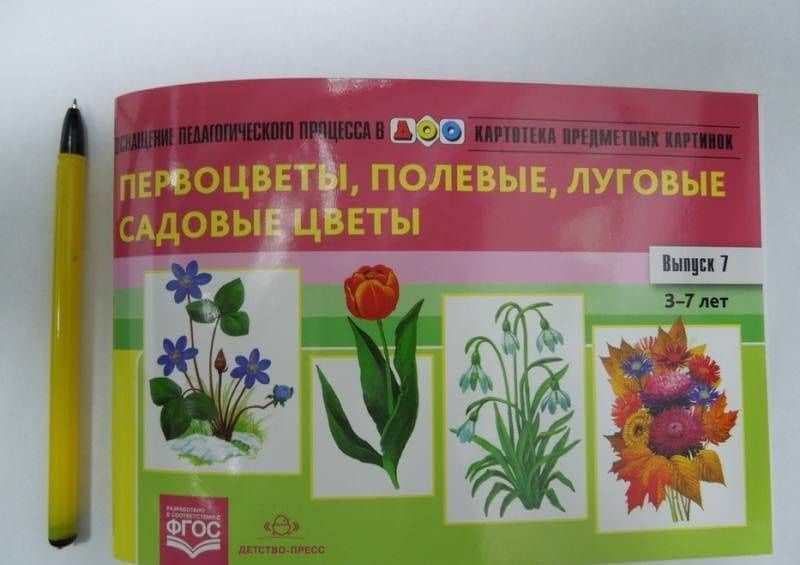 Картотека предметных картинок. Выпуск 7. 3-7 лет. Первоцветы, Полевые, Луговые, Садовые Цветы ФГОС — Наталия Валентиновна Нищева (3)