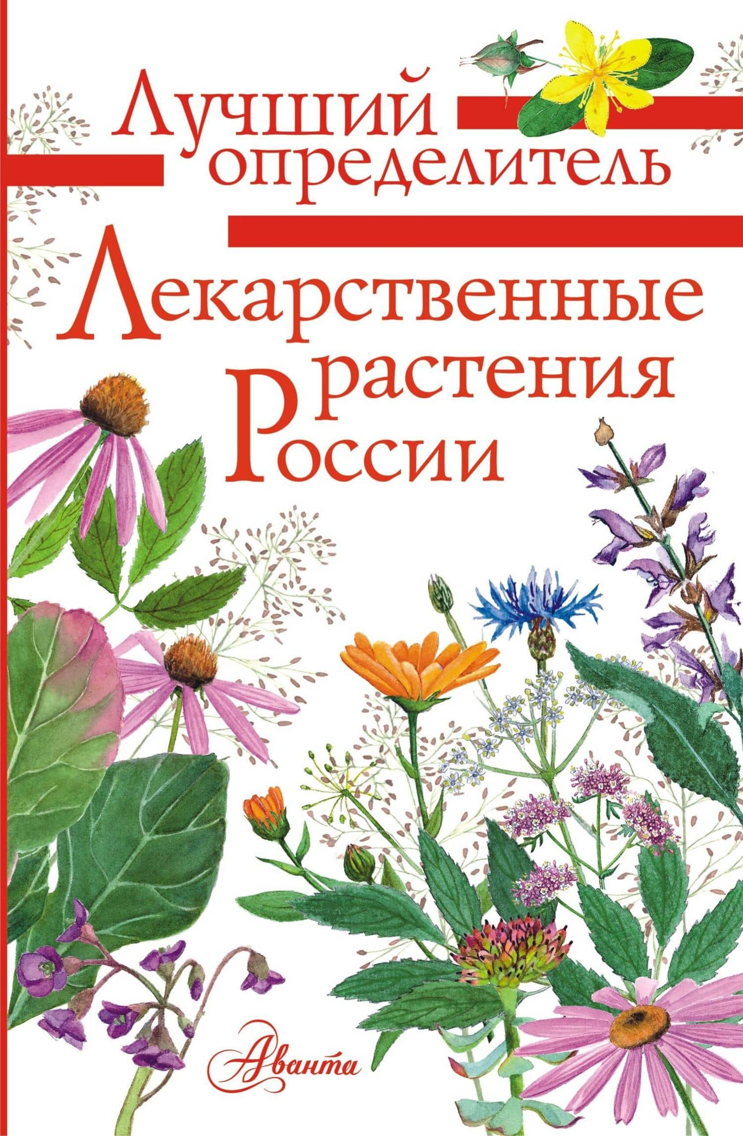 Лекарственные растения России — Алексей Николаевич Филин