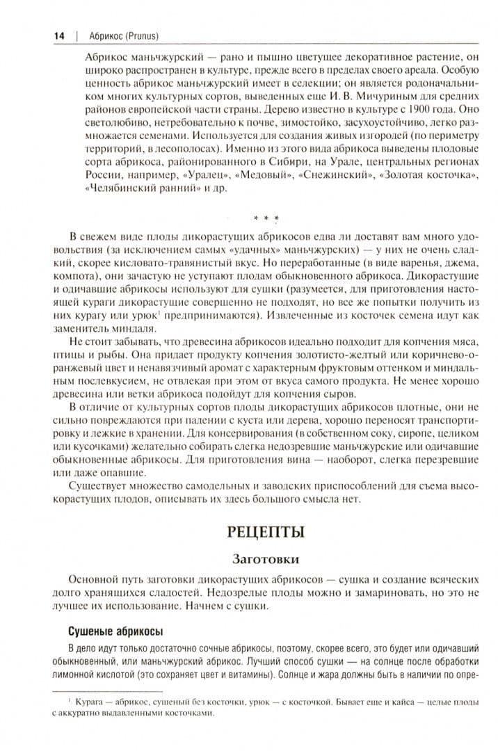 Готовим из дикоросов. Деревья и кустарники — Михаил Владимирович Вишневский (2)