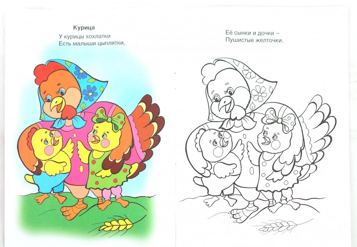 Бабушкин двор — А. Лопатина (2)