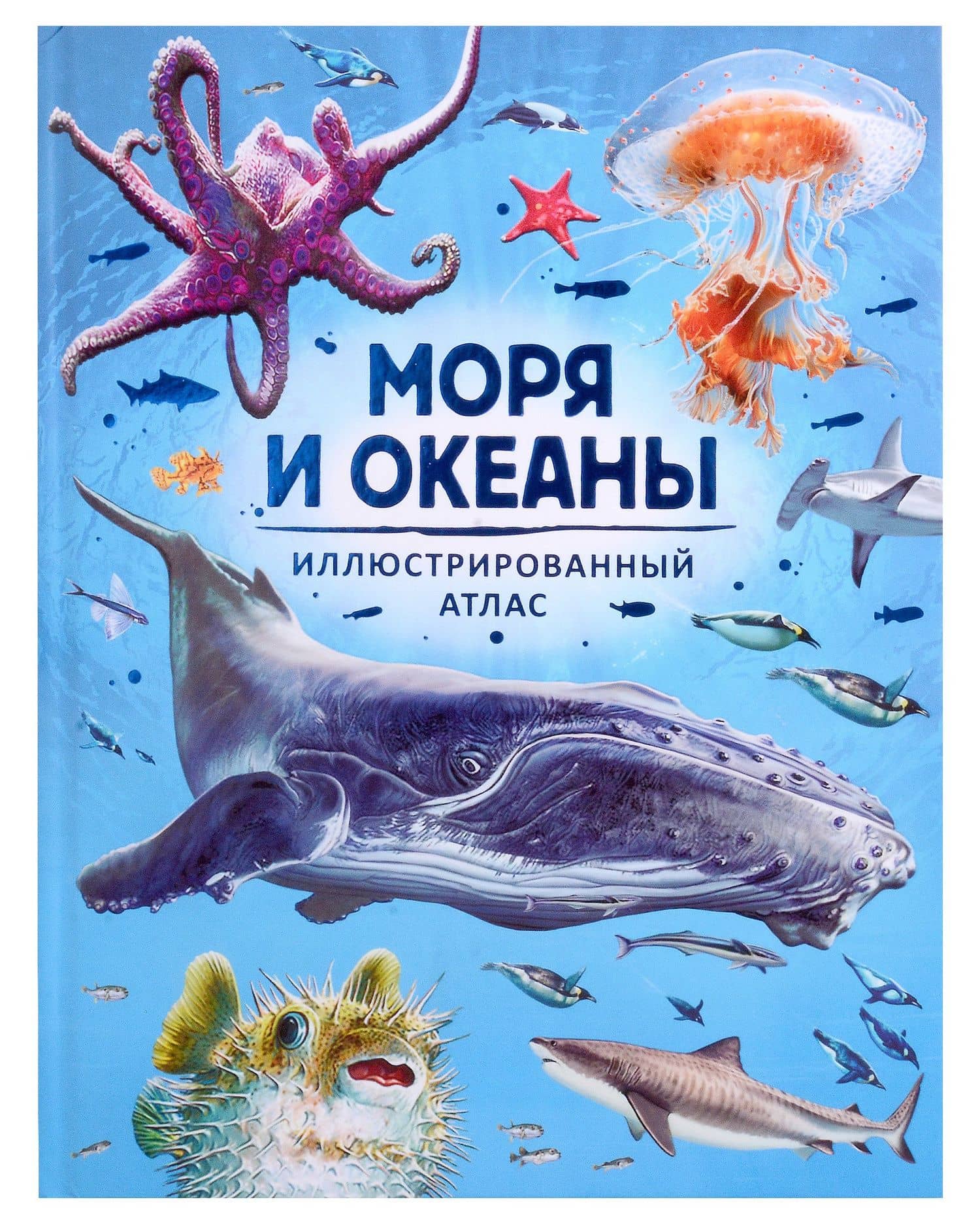 Моря и океаны. Иллюстрированный атлас — Консуэло Делгадо