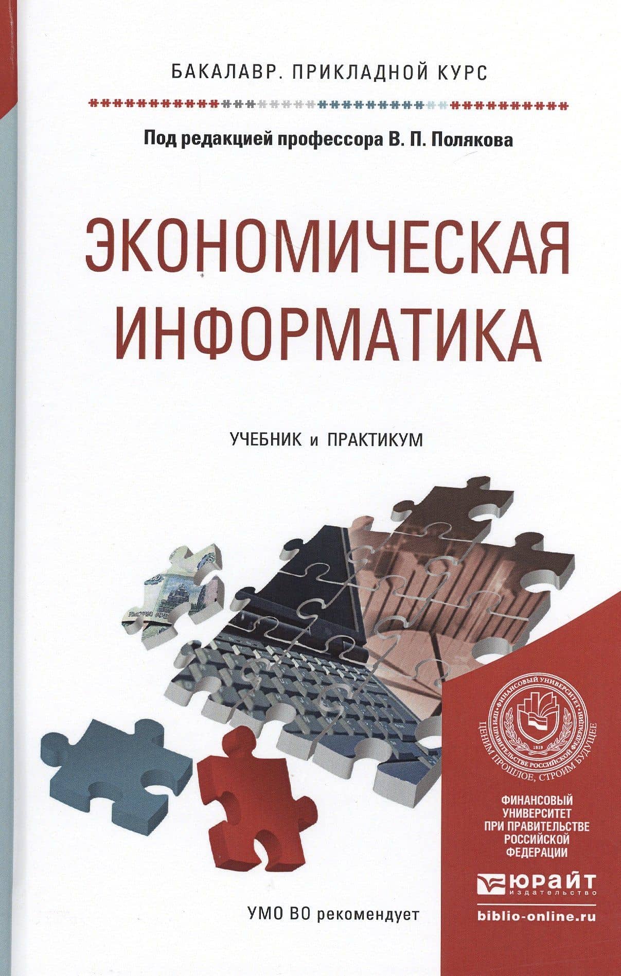 Экономическая информатика. Учебник и практикум для прикладного бакалавриата — Виктор Павлович Поляков