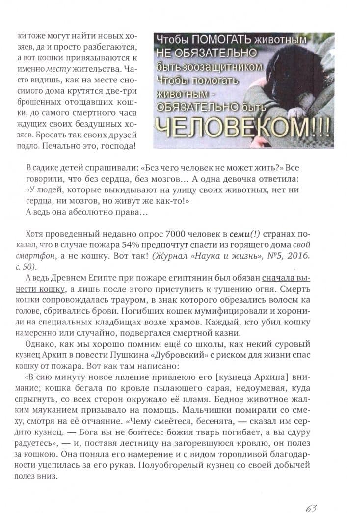 Коты и Кошки. Заметки диванного натуралиста — Малофеев Николай Мифодьевич (3)