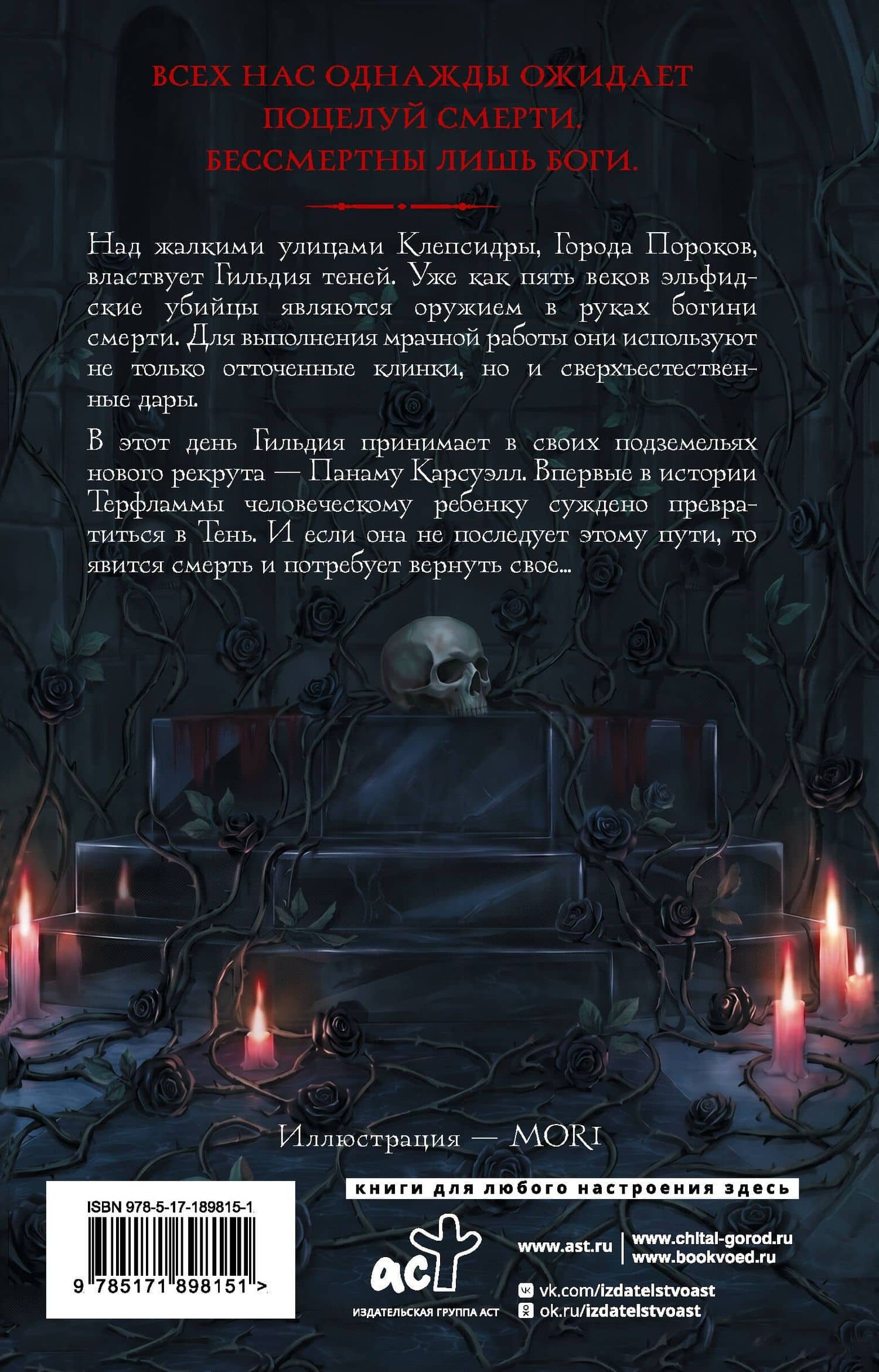 Гильдия теней. Дар смерти. Книга 1 — Анна Трисс (2)