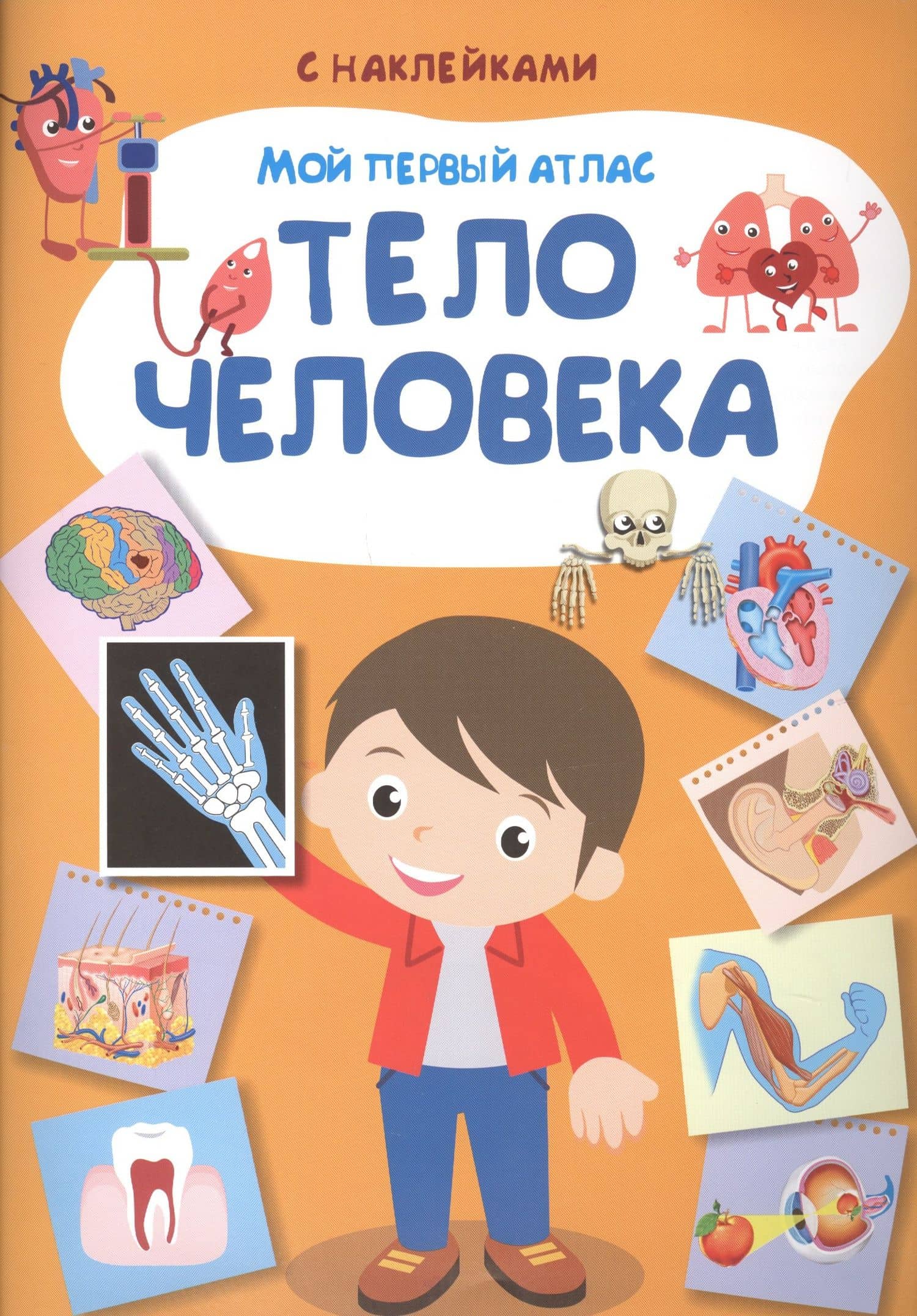Мой первый атлас. Тело человека — Е.С. Вахрушева