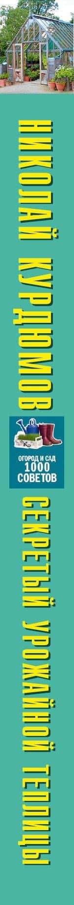 Секреты урожайной теплицы — Николай Иванович Курдюмов (3)