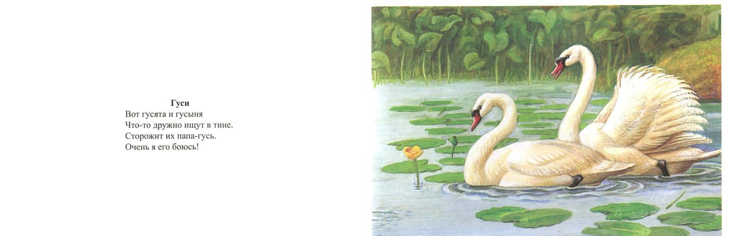 Картотека предметных картинок. Выпуск №9. 3-7 лет. Домашние, перелетные, зимующие птицы. ФГОС — Наталия Валентиновна Нищева (2)
